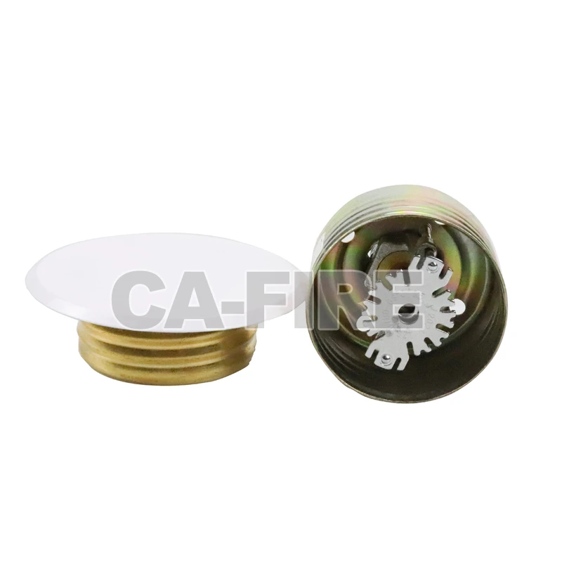 product-800-800