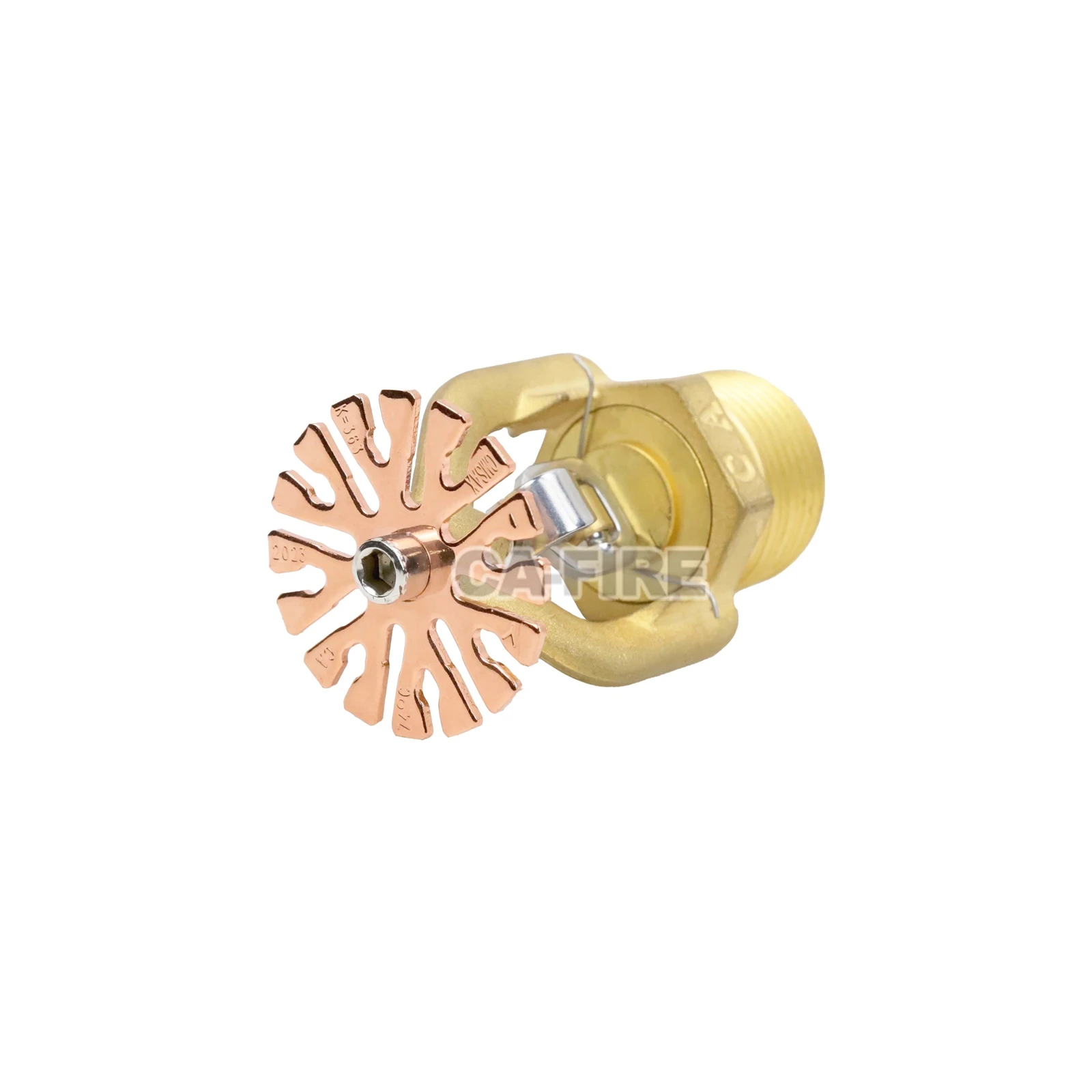 product-4160-4160 product-4160-4160